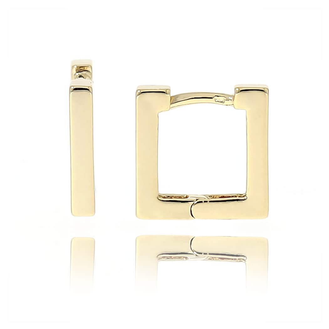 Elluna Hoop Earrings for Women - 14K Gold Plated Stainless Steel Circle Earrings | Hypoallergenic & Tarnish Resistant | Perfect for Everyday Wear, Parties & Gifts