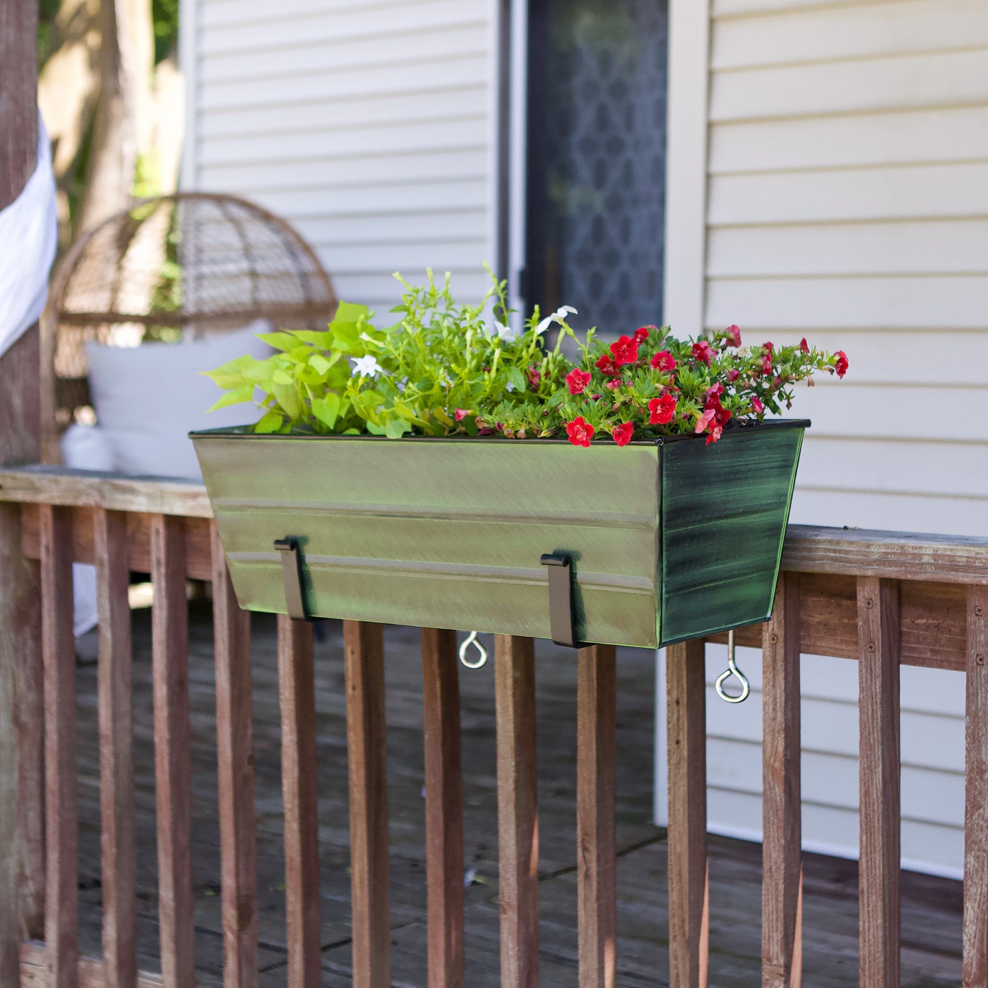 Bloom Box Garden Growing Kit - Medium Green with Clamp On Brackets | Indoor Herb Garden Starter Kit for Windowsill, Kitchen, Balcony | Perfect for Growing Fresh Herbs, Flowers & Small Plants