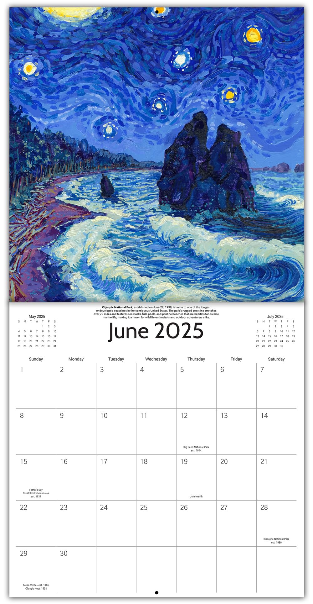Starry Night National Park Wall Calendar 2025 - 12