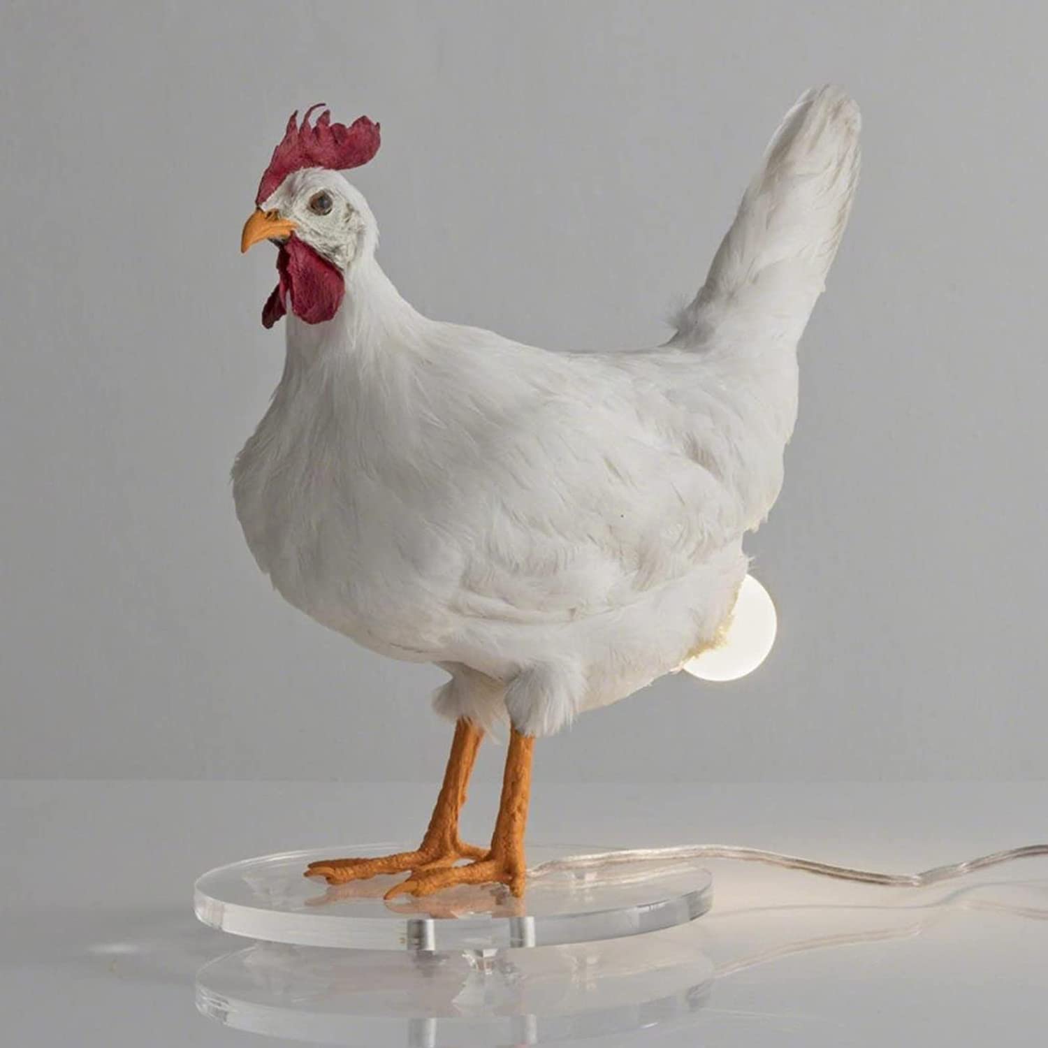 Realistic 3D LED Chicken Egg Lamp - Lifelike Resin Rooster Table Light with Plush Hen, Warm White Night Light for Easter, Home, Bedroom & Living Room Decor | Perfect for Farmhouse Style, Nursery Lighting & Seasonal Holiday Displays