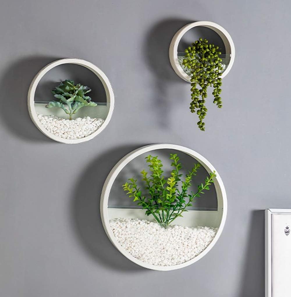 Metal Wall Planter Set of 3 - Round Hanging Wall Vase for Succulents, Small Cactus & Flowers | White Home Decor Planters with Gift Box | Perfect for Living Room, Bedroom & Office Decor