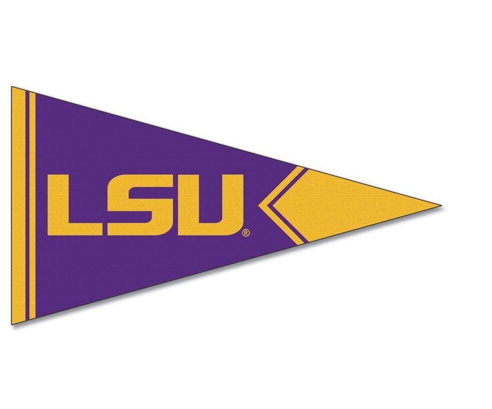 NCAA Felt Pennant Magnet - Perfect for Game Day Decor
