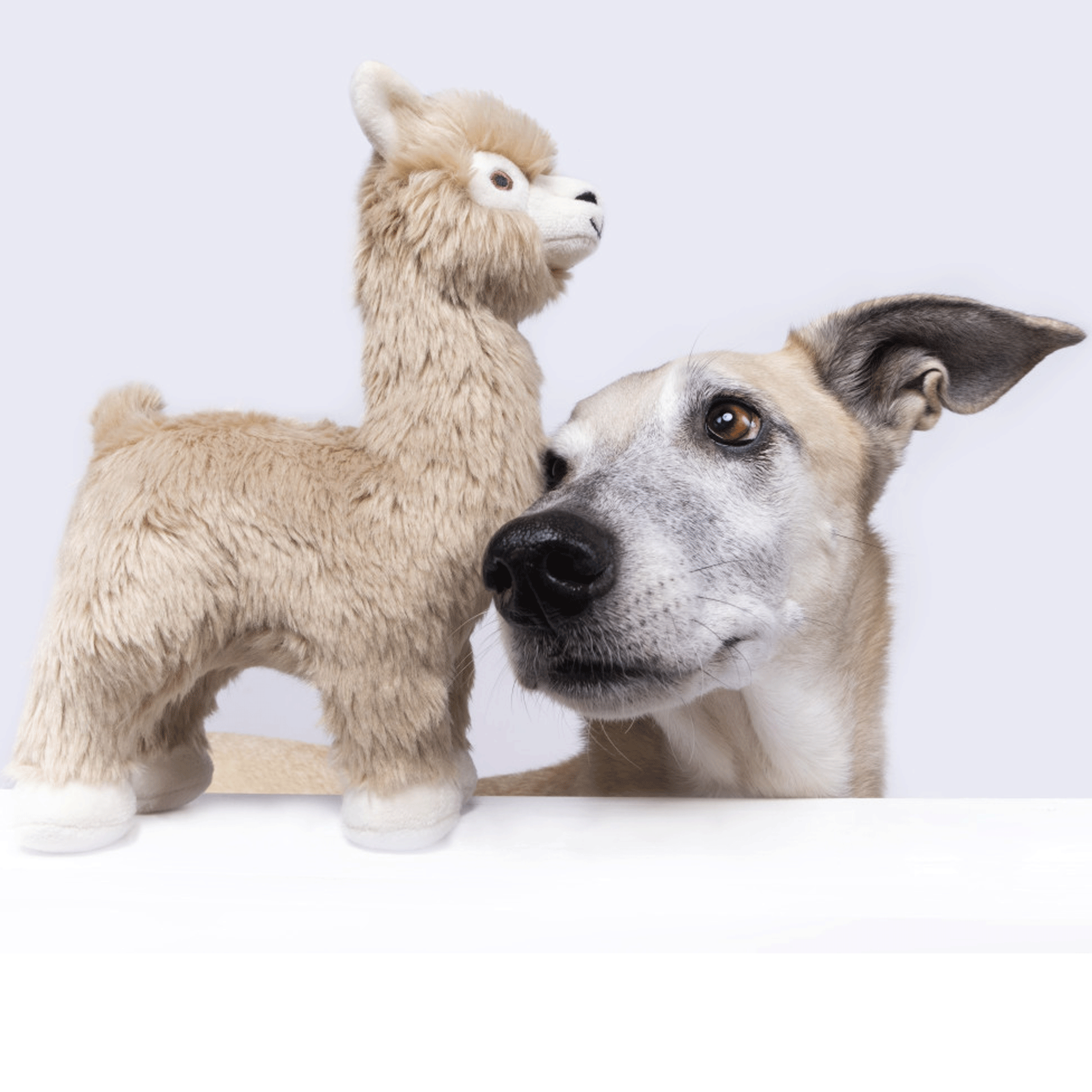 Fluff & Tuff Inca Alpaca Tan Dog Toy - Durable Chew Toy for Small & Medium Dogs - Perfect for Indoor Play, Outdoor Fetch & Training Sessions