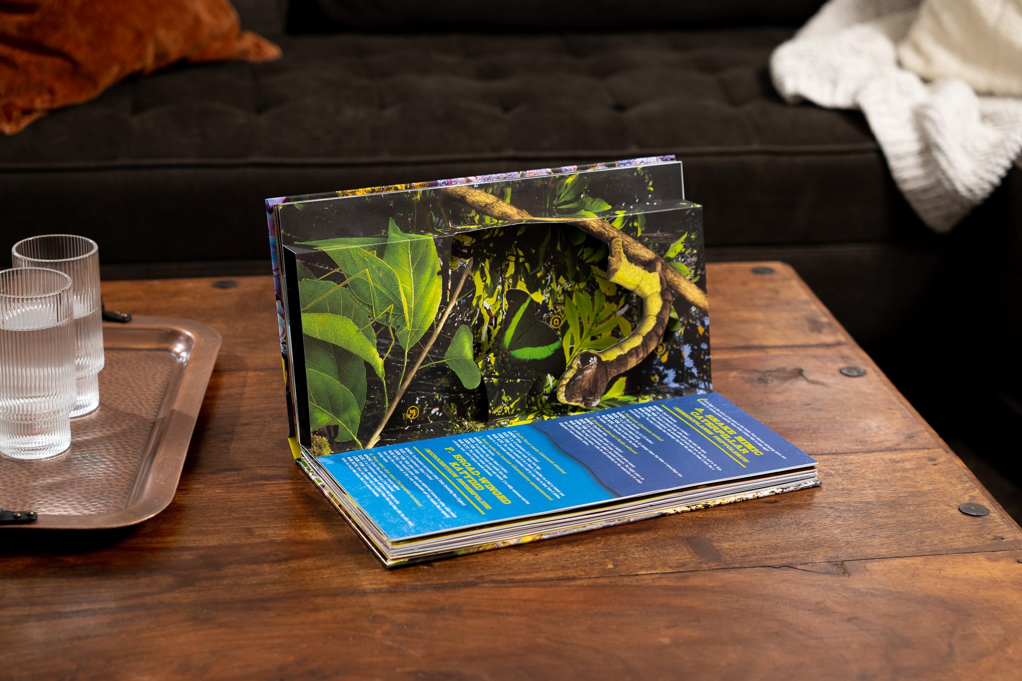 Bug World: A 3D Pop-Up Book for Kids - Interactive Insect Exploration & Learning - Perfect for Classroom, Birthday Gifts & STEM Education