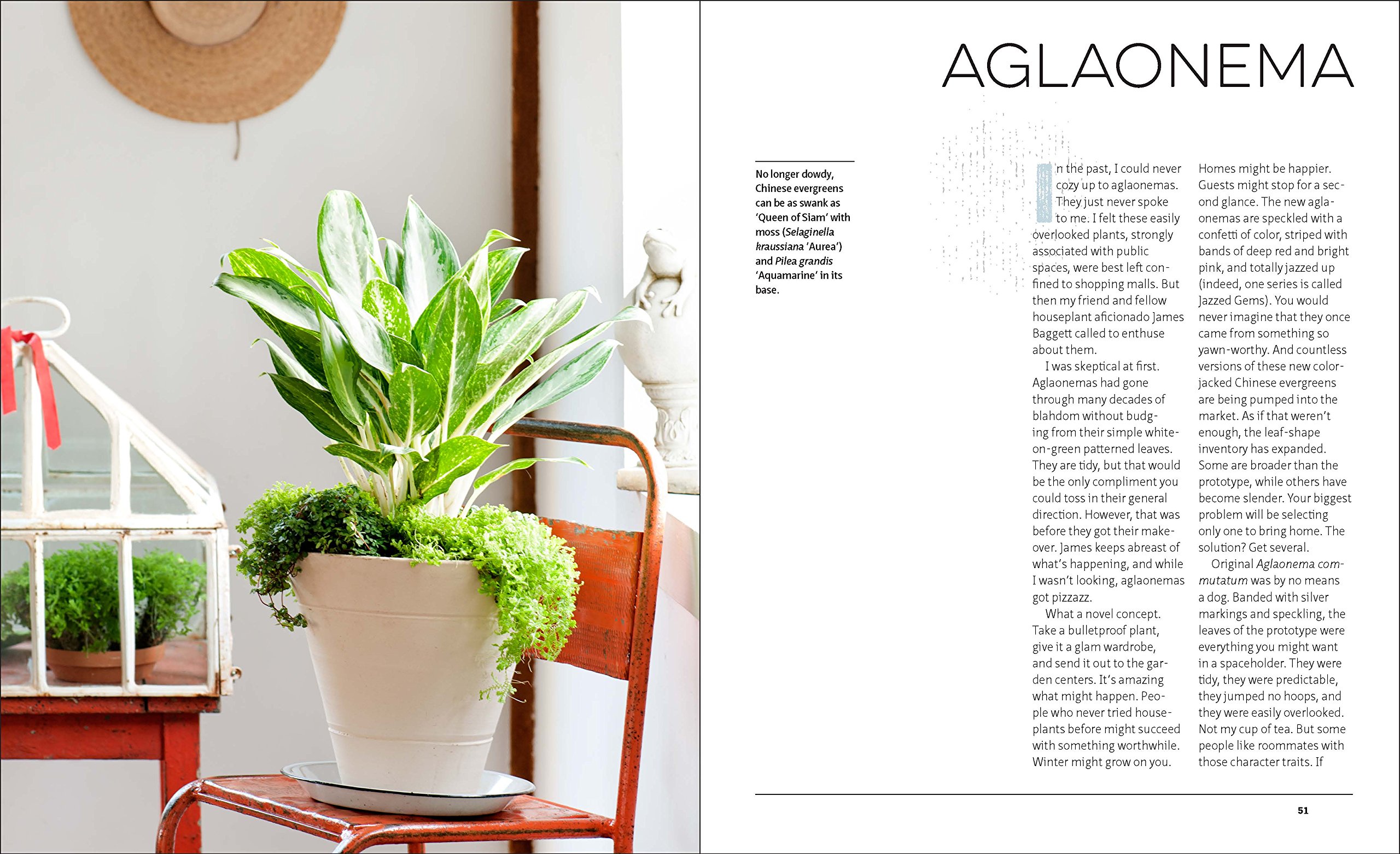Indestructible Houseplants: 200 Beautiful Easy-to-Grow Indoor Plants for Beginners - Perfect for Home, Office & Low-Light Spaces