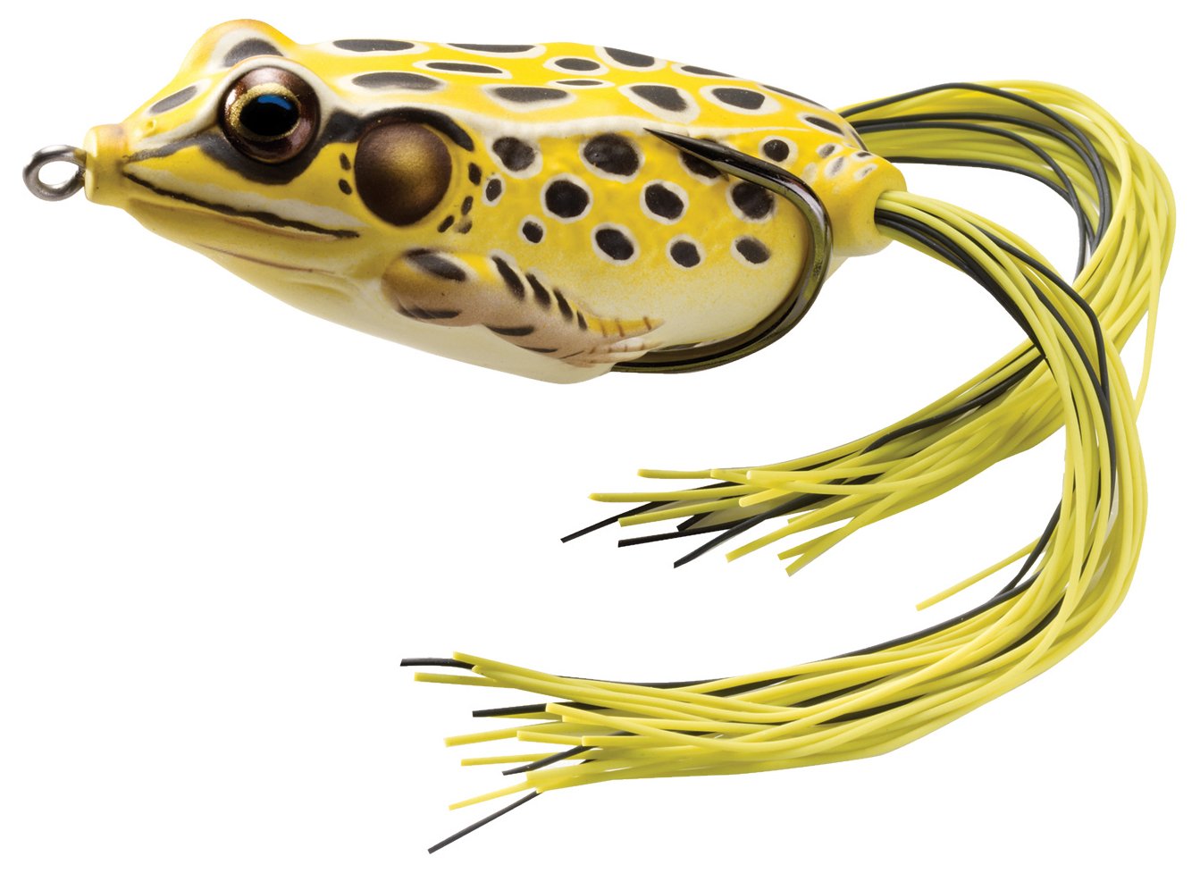 LiveTarget Hollow Body Frog - Topwater Bass Fishing Lure for Weedless Frog Fishing in Ponds, Lakes & Heavy Cover - Perfect for Frog Fishing in Shallow Water & Lily Pads