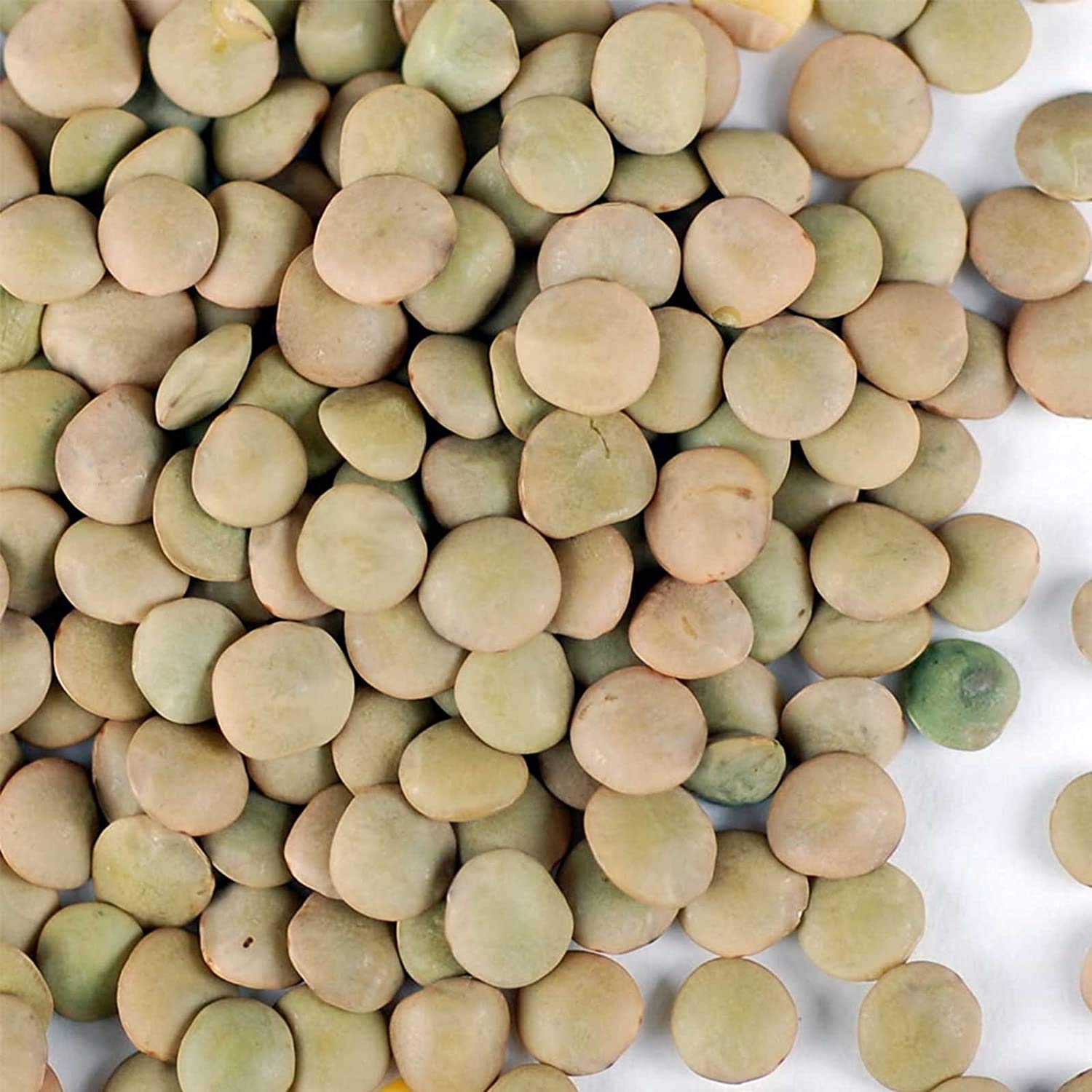 Organic Dried Green Lentil Sprouting Seeds - 1 Lb Non-GMO Lentils for Planting, Cooking, Soup & Salad | Perfect for Home Gardening, Healthy Meals & Sprouting at Home
