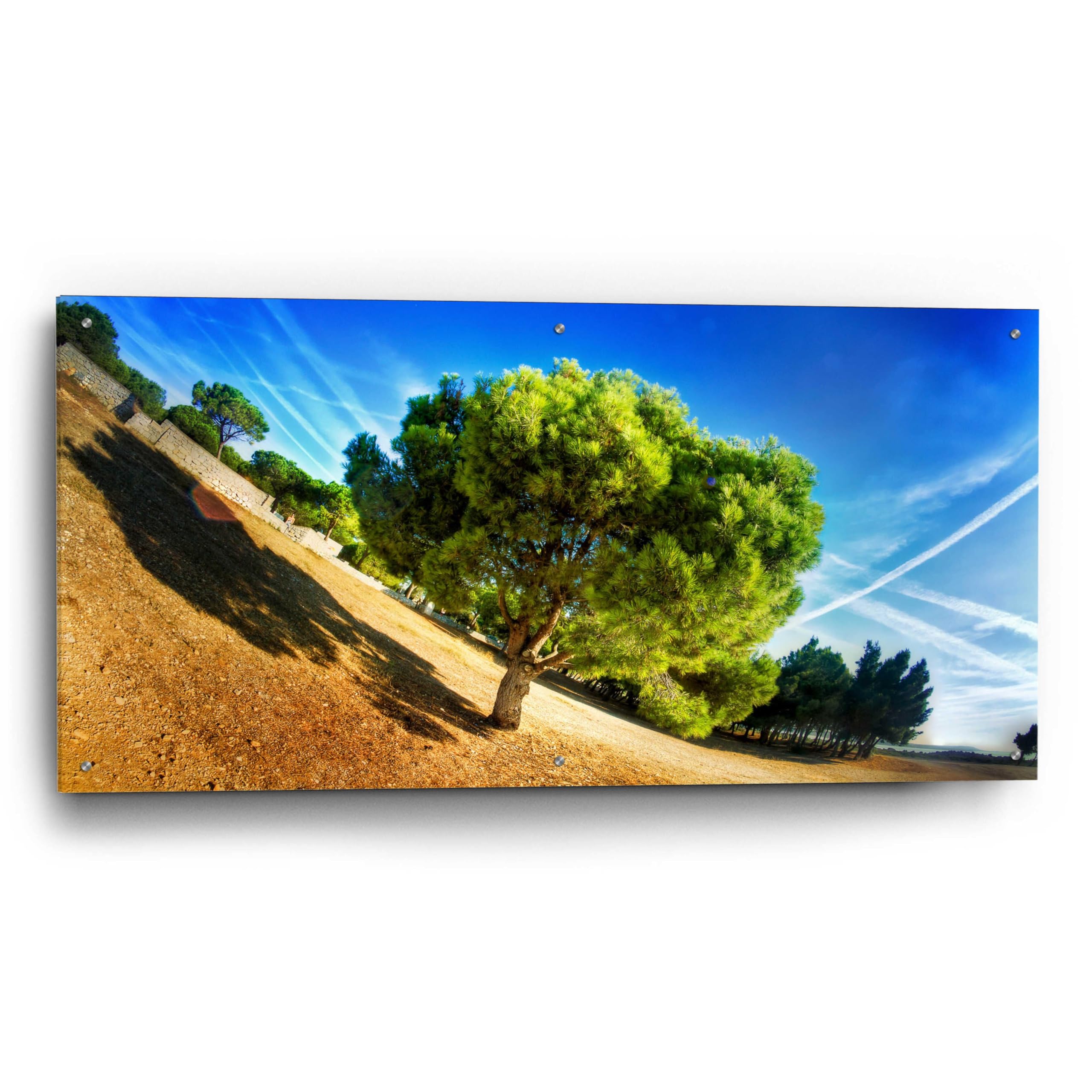 Epic Art 'Summer Tree' by Sebastien Lory - 48x24 Inch Acrylic Glass Wall Painting - Modern Home Decor for Living Room, Bedroom & Office