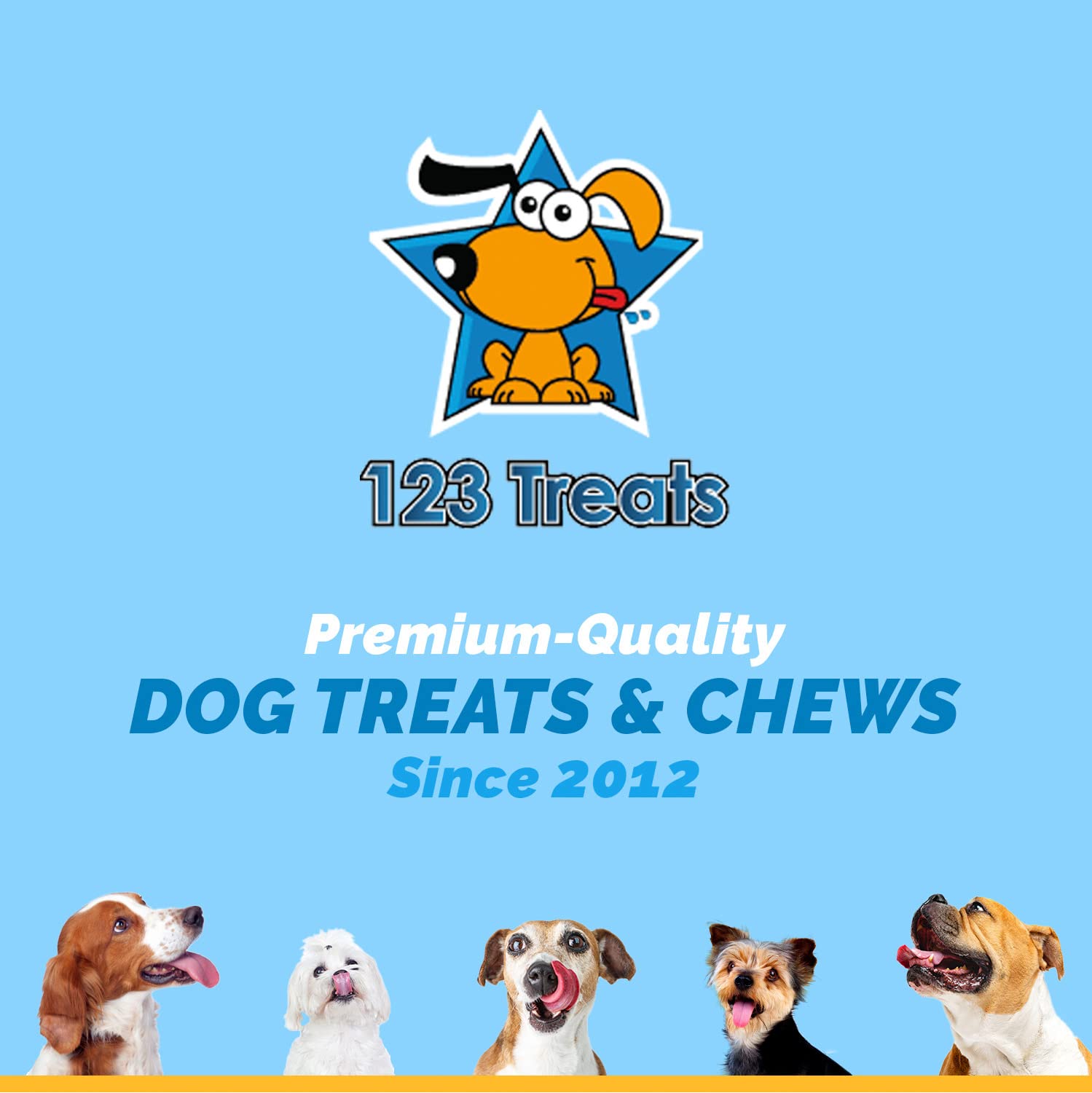 Premium Free-Range Lamb Ear Dog Chews - All Natural, Healthy Dog Treats for Small & Large Breeds (10 Count) - Perfect for Training, Dental Health & Long-Lasting Chewing