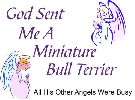 Cahoon's Closet 'God Sent Me A Miniature Bull Terrier' Funny Dog Lover T-Shirt - Perfect Gift for Pet Owners & Bull Terrier Fans