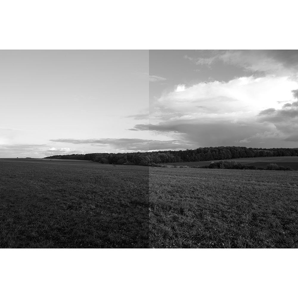 Leica E49 Orange Filter for M Mount Cameras - Enhance Contrast & Reduce Haze in Landscape Photography
