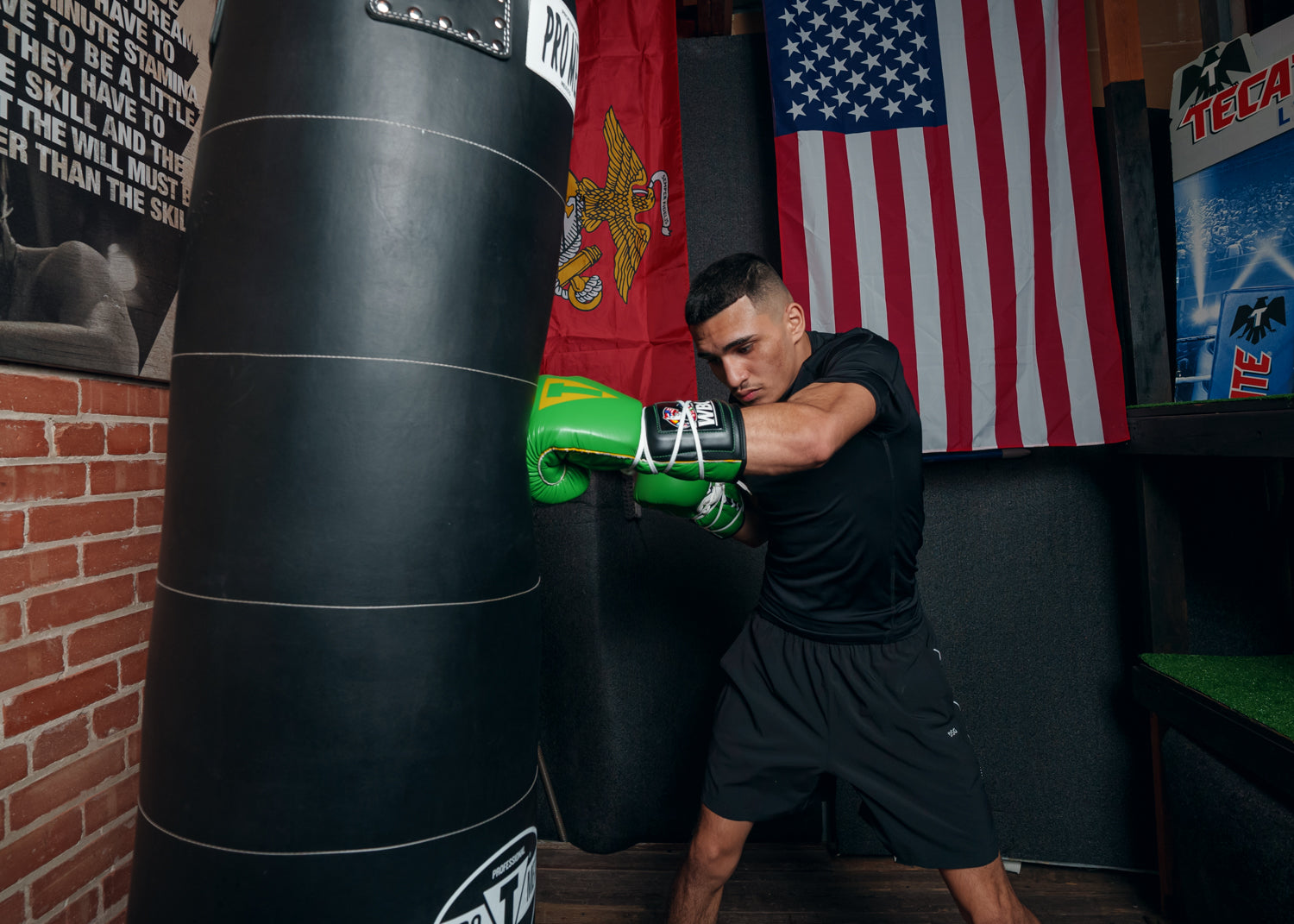 WBC by TITLE Boxing Sparring Gloves - Professional Training Gloves for Boxing, MMA & Kickboxing - Perfect for Gym Workouts & Martial Arts Training