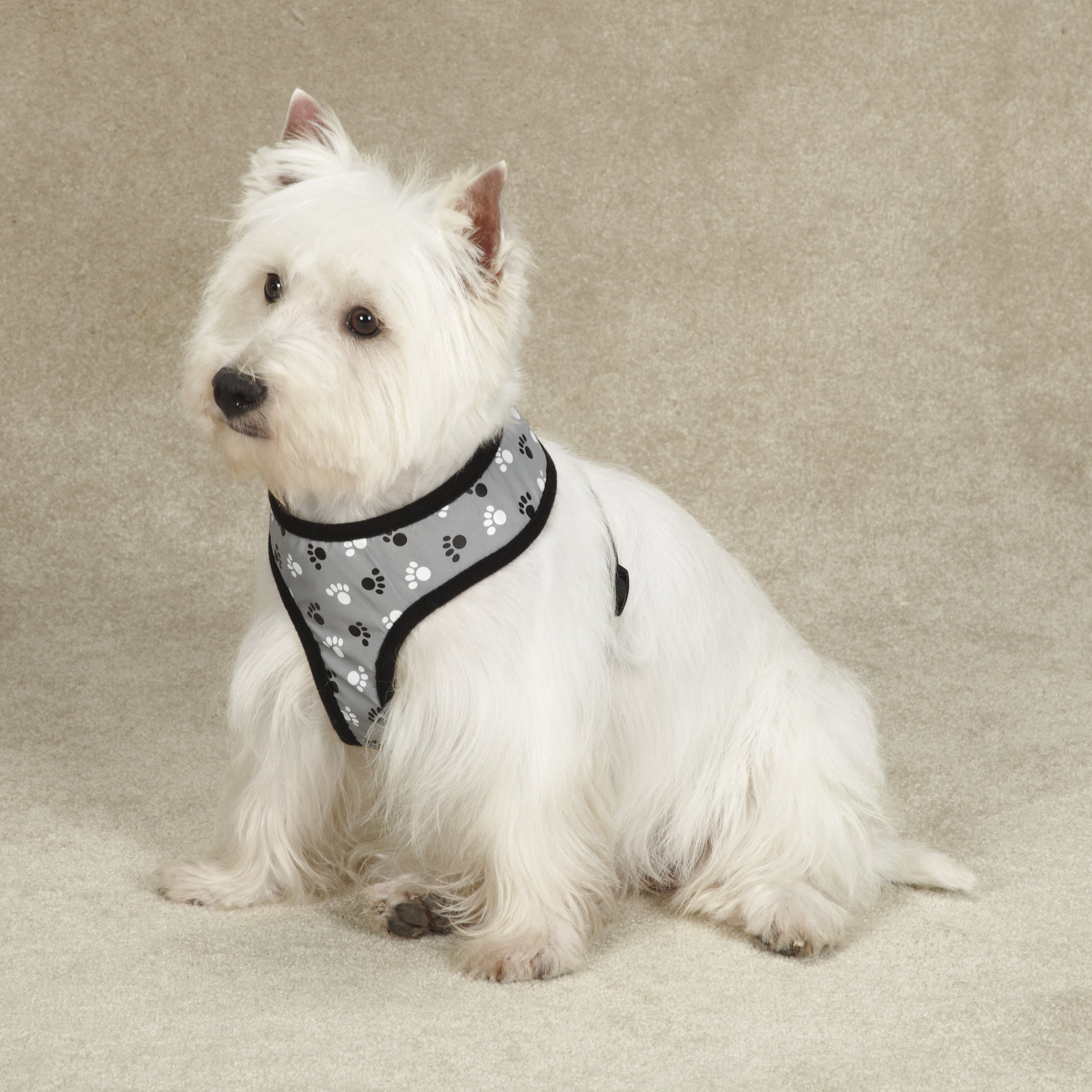 Reflective Paw Print Dog Harness for Small Dogs - Adjustable & Breathable Black Pet Safety Vest for Night Walks, Jogging & Outdoor Adventures