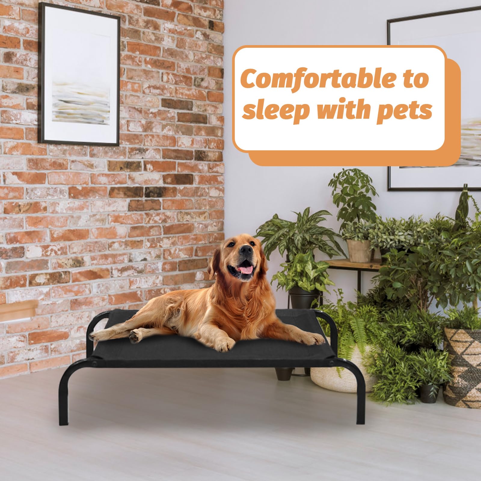 Breathable Elevated Pet Hammock Bed - Detachable Mesh Cat & Dog Lounge Bed with High Footed Design - Perfect for Indoor, Outdoor, Camping & Travel Use