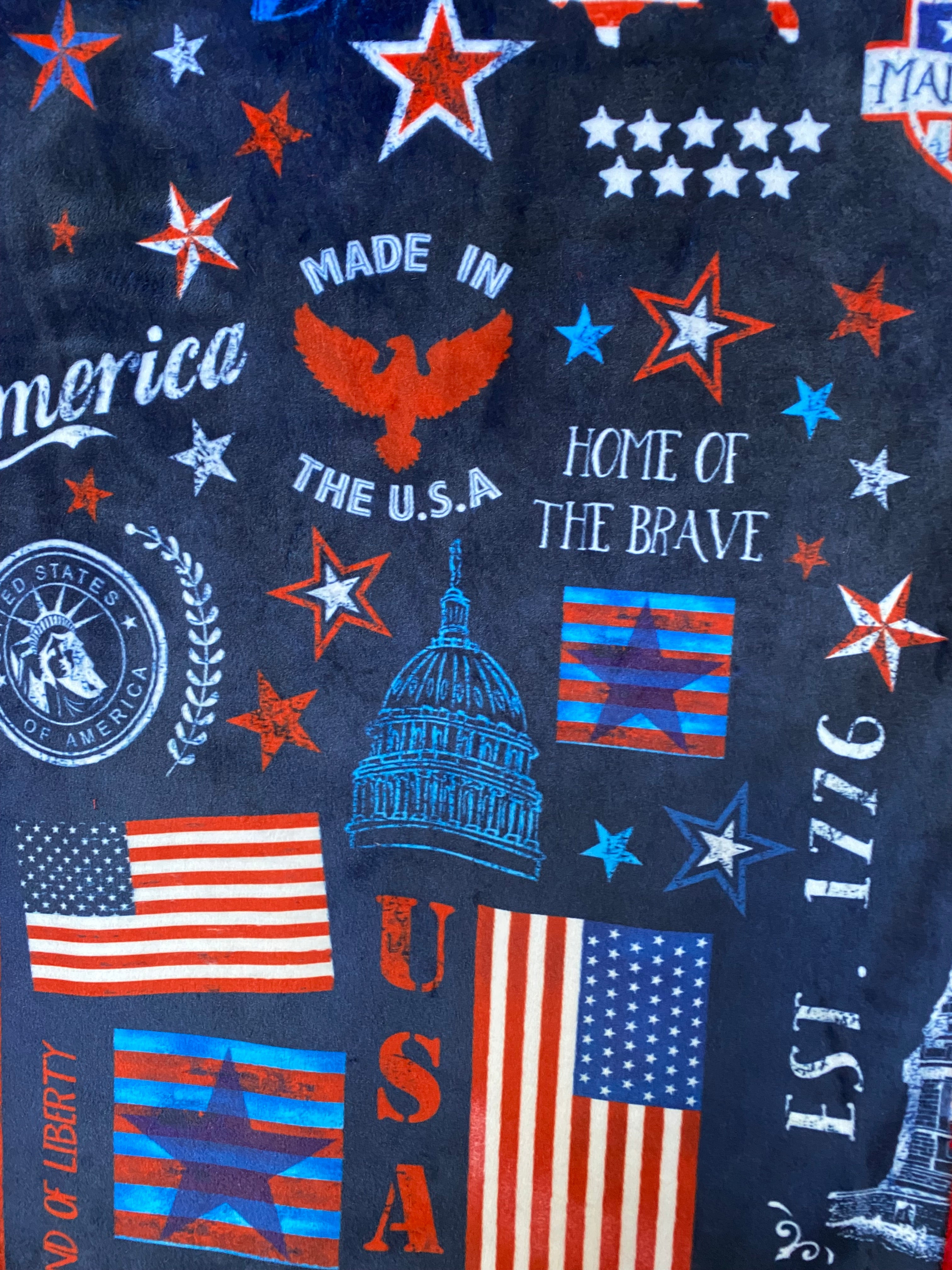 Americana on Cardinal Minky Blanket Throw 53x63 Inches - Ultra Soft Plush Fleece Blanket for Couch, Bed, and Home Decor - Perfect for Cozy Nights, Gifts, and Seasonal Decorations
