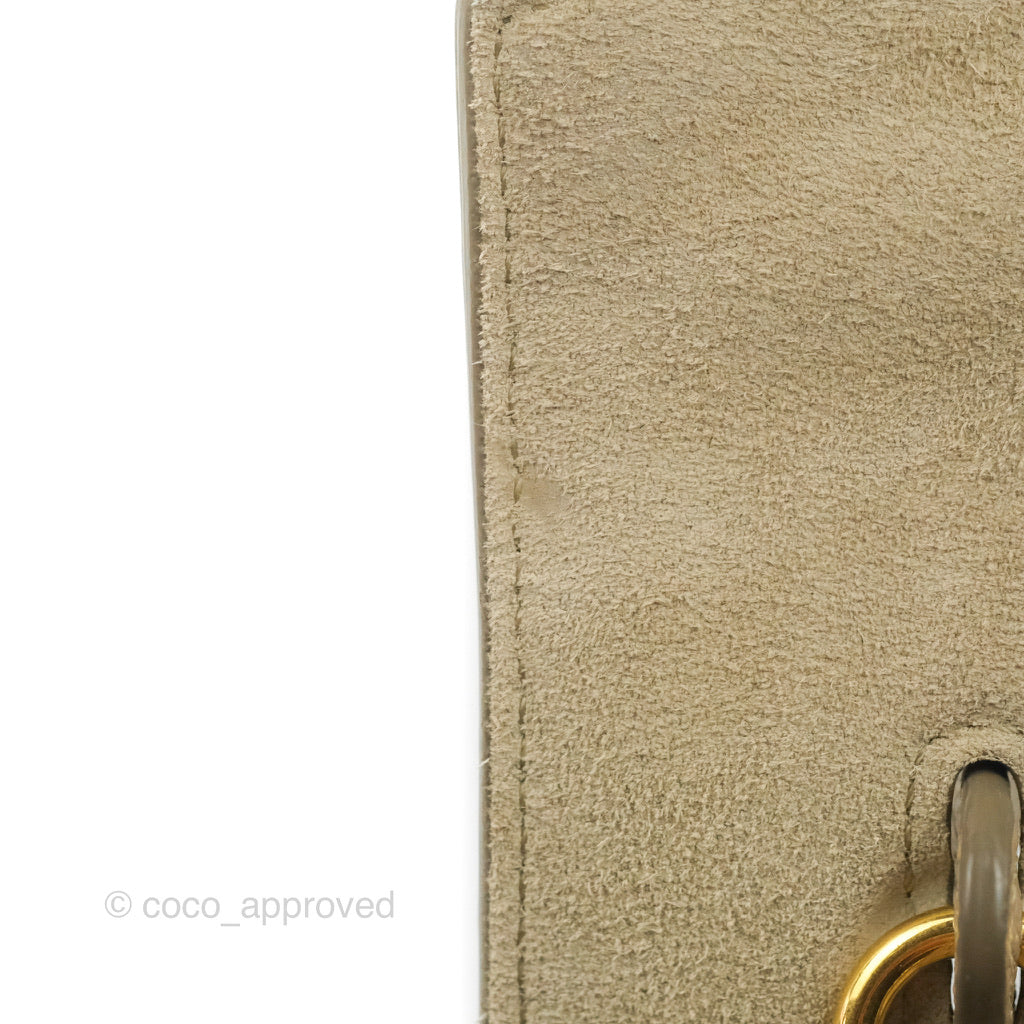 Celine Nano Belt Bag in Light Taupe - Grained Calfskin Leather with Gold Hardware | Crossbody Bag for Women, Perfect for Work, Travel & Everyday Use