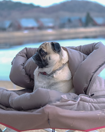 Premium Dog Sleeping Bag - Cozy & Warm Pet Bed for Small to Medium Dogs - Perfect for Indoor, Outdoor & Travel Use
