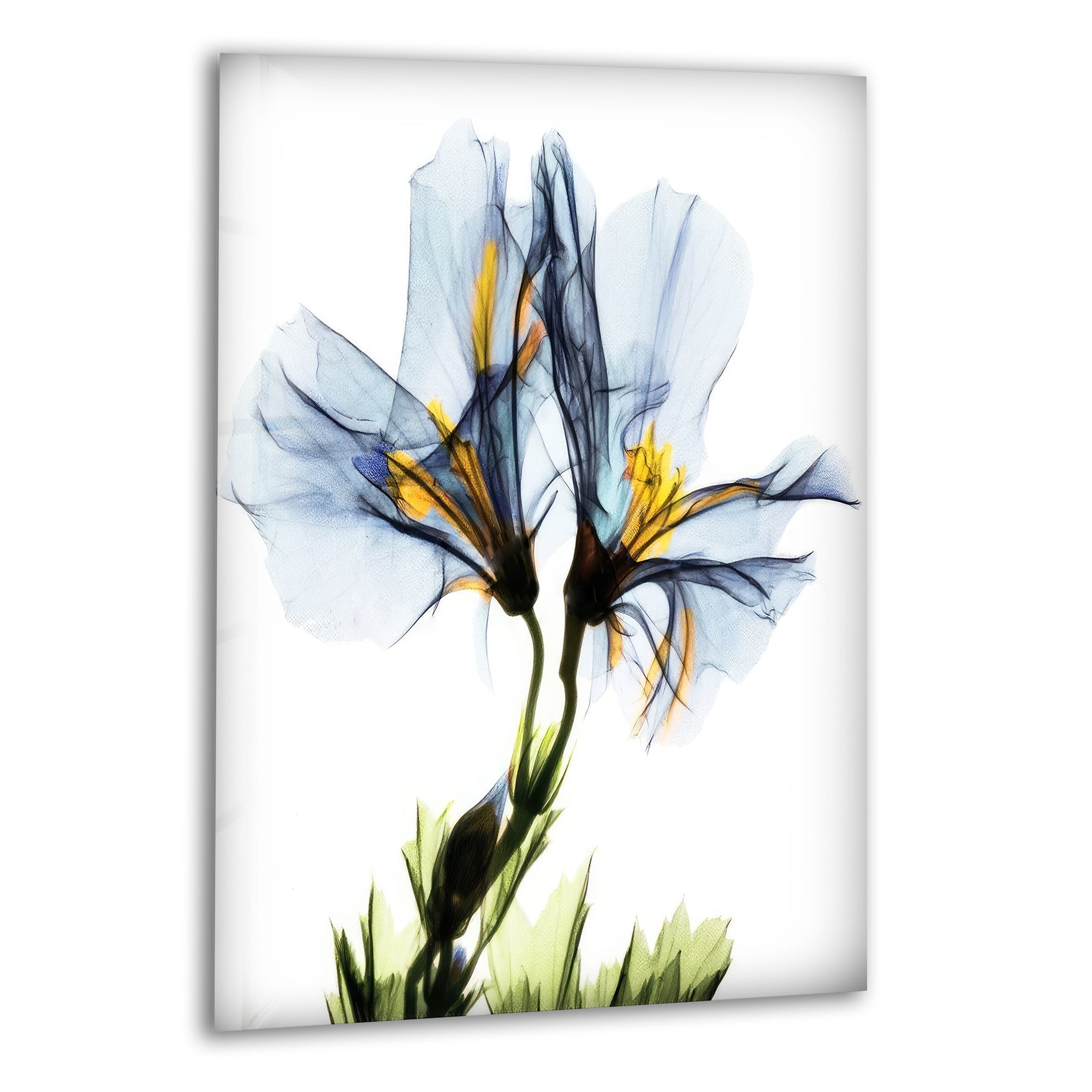 Albert Koetsier Blue Geranium Glass Wall Art - Handcrafted Stained Glass Panel for Home Decor, Living Room, Bedroom & Office