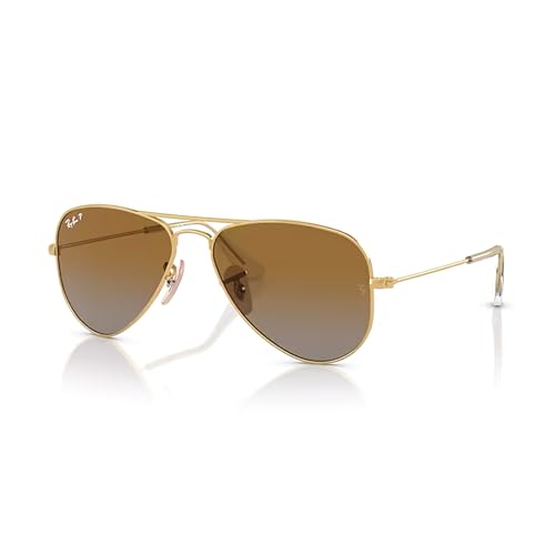 Arista / Gradient Brown Polarized
