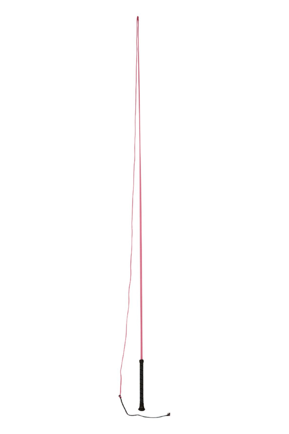Dublin Brights Lunge Whip - Professional Horse Training Whip for Equestrian Riding & Lunging - Perfect for Dressage, Show Jumping & Horseback Riding Training