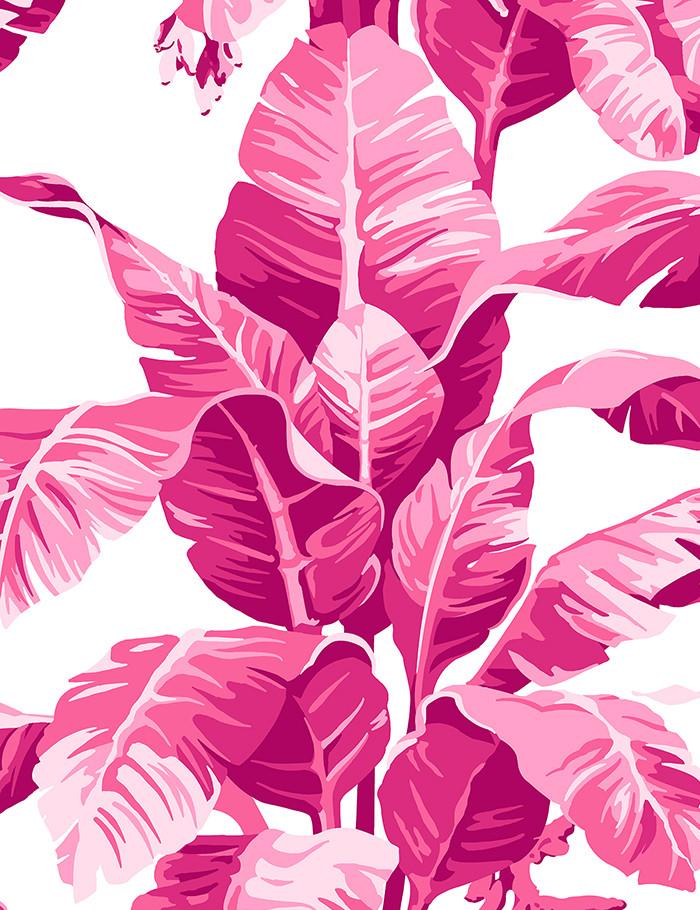 Nathan Turner 'Electric Palm' White Wallpaper - Tropical Botanical Peel & Stick Wallpaper for Living Room, Bedroom, Bathroom Decor