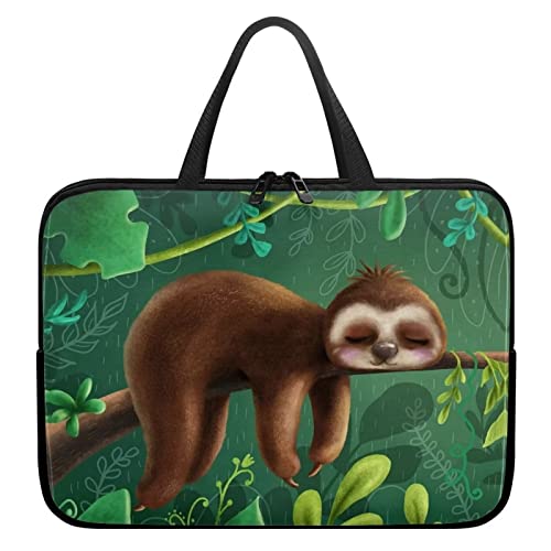 Funny Sloth