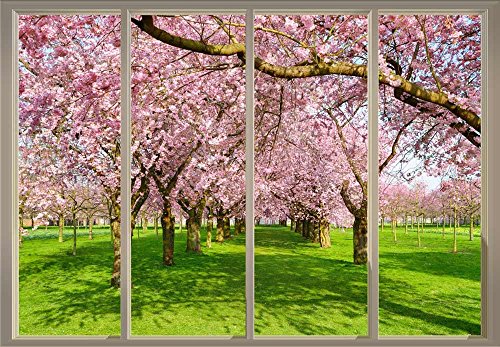 Rows of Cherry Blossom Trees