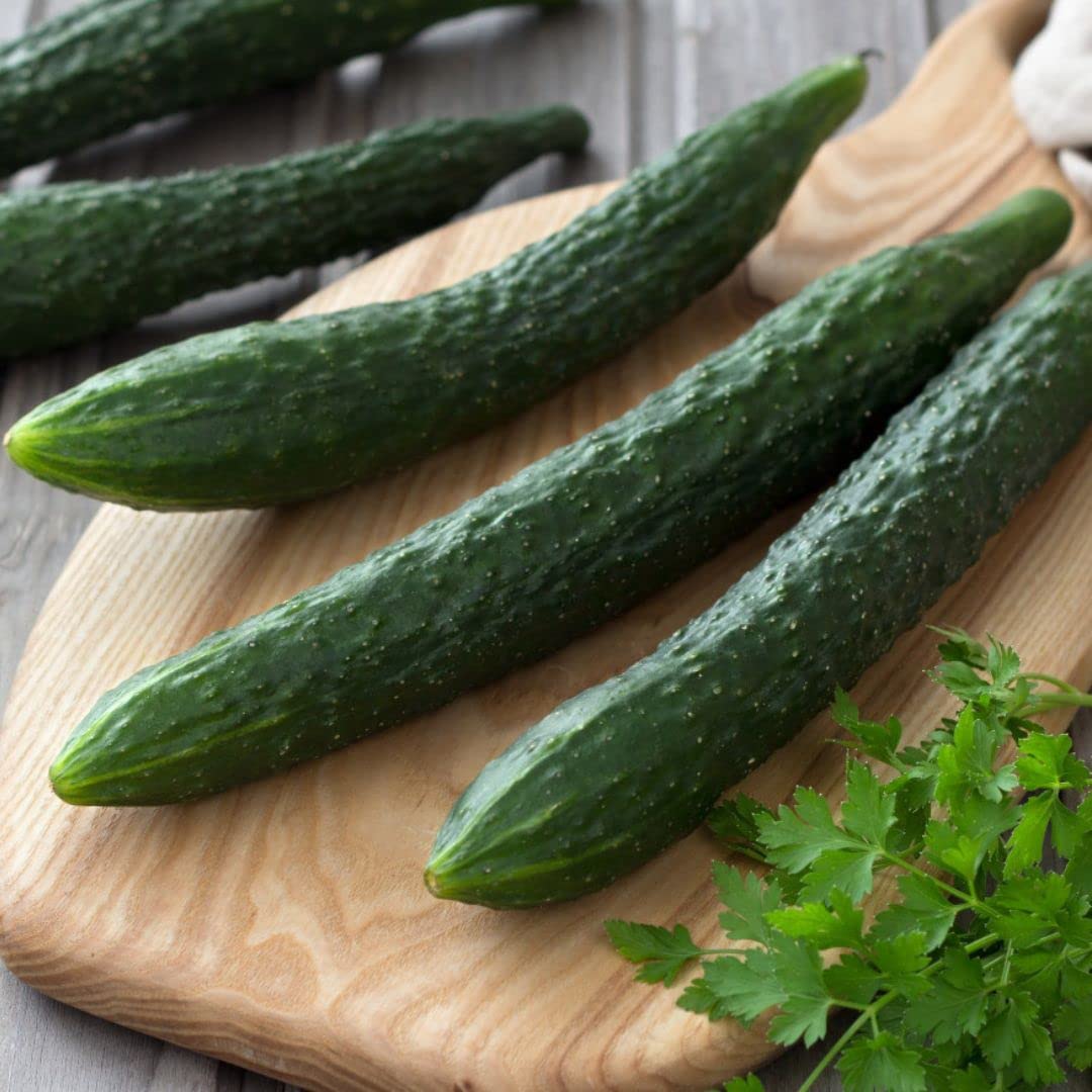 Premium Korean Cucumber Seeds for Planting - Non-GMO, 15 Seeds per Pack - Fresh Home Garden Vegetable Seeds for Salads, Pickling & Healthy Snacks