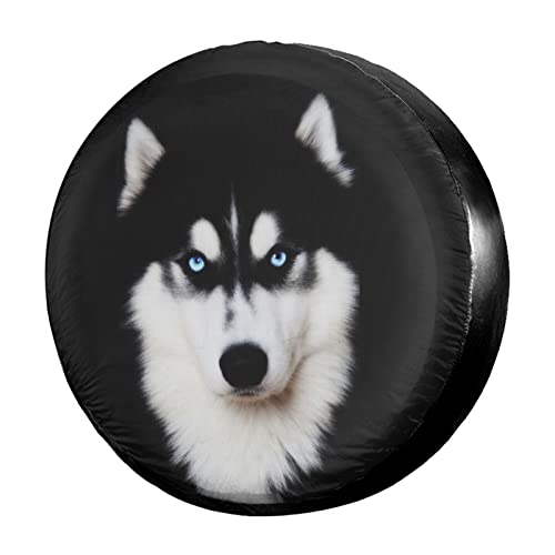 Husky