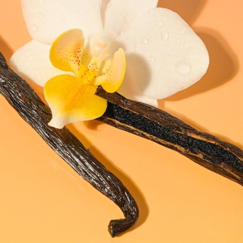 Vanilla Bean
