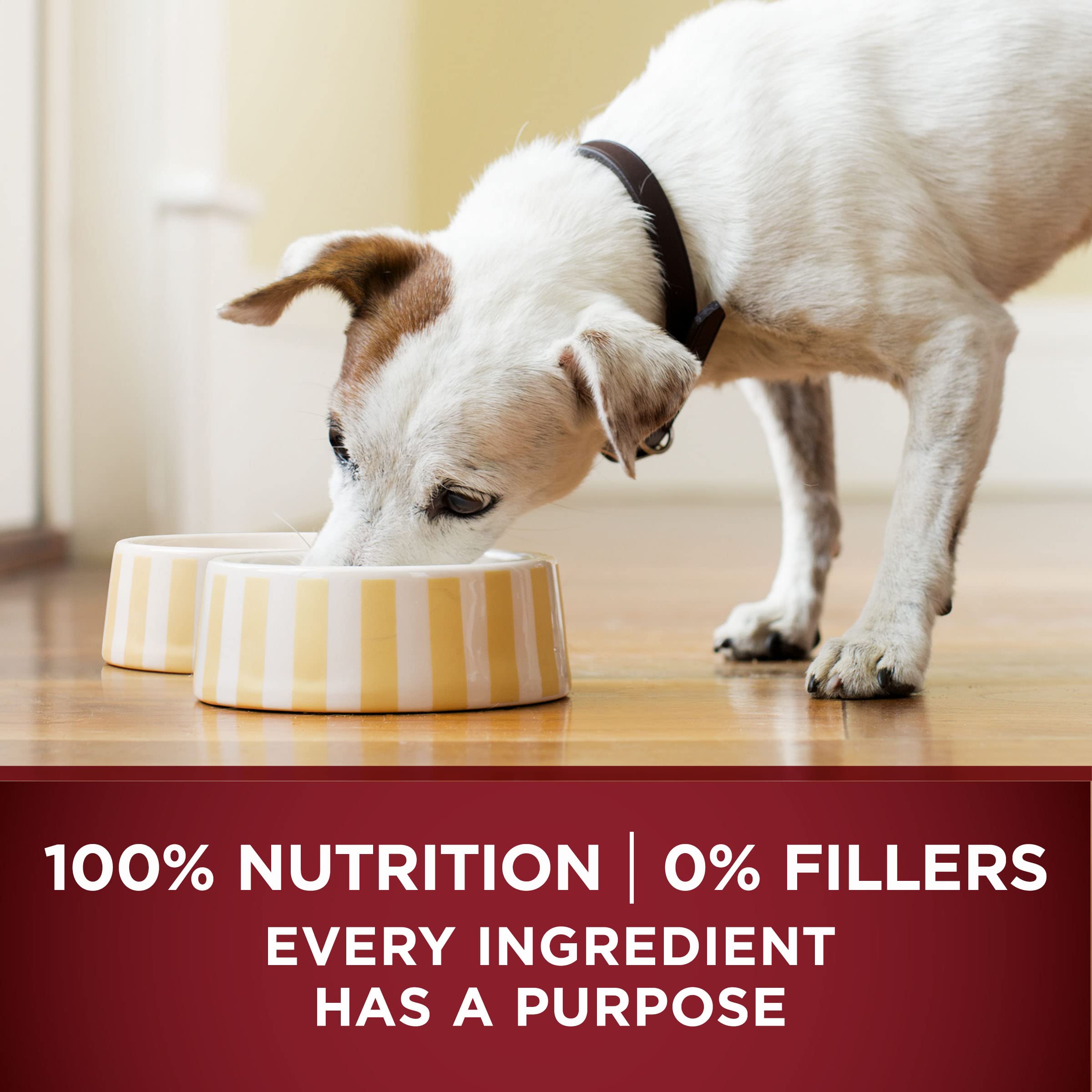 Purina ONE Grain-Free Wet Dog Food with Real Beef & Bison - High Protein Canned Dog Food for Adult Dogs - 12 Pack (13 oz Cans) - Perfect for Mealtime & Training Rewards