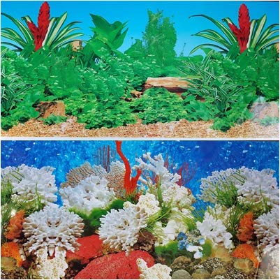 Double Sided Aquarium Background Decor 60