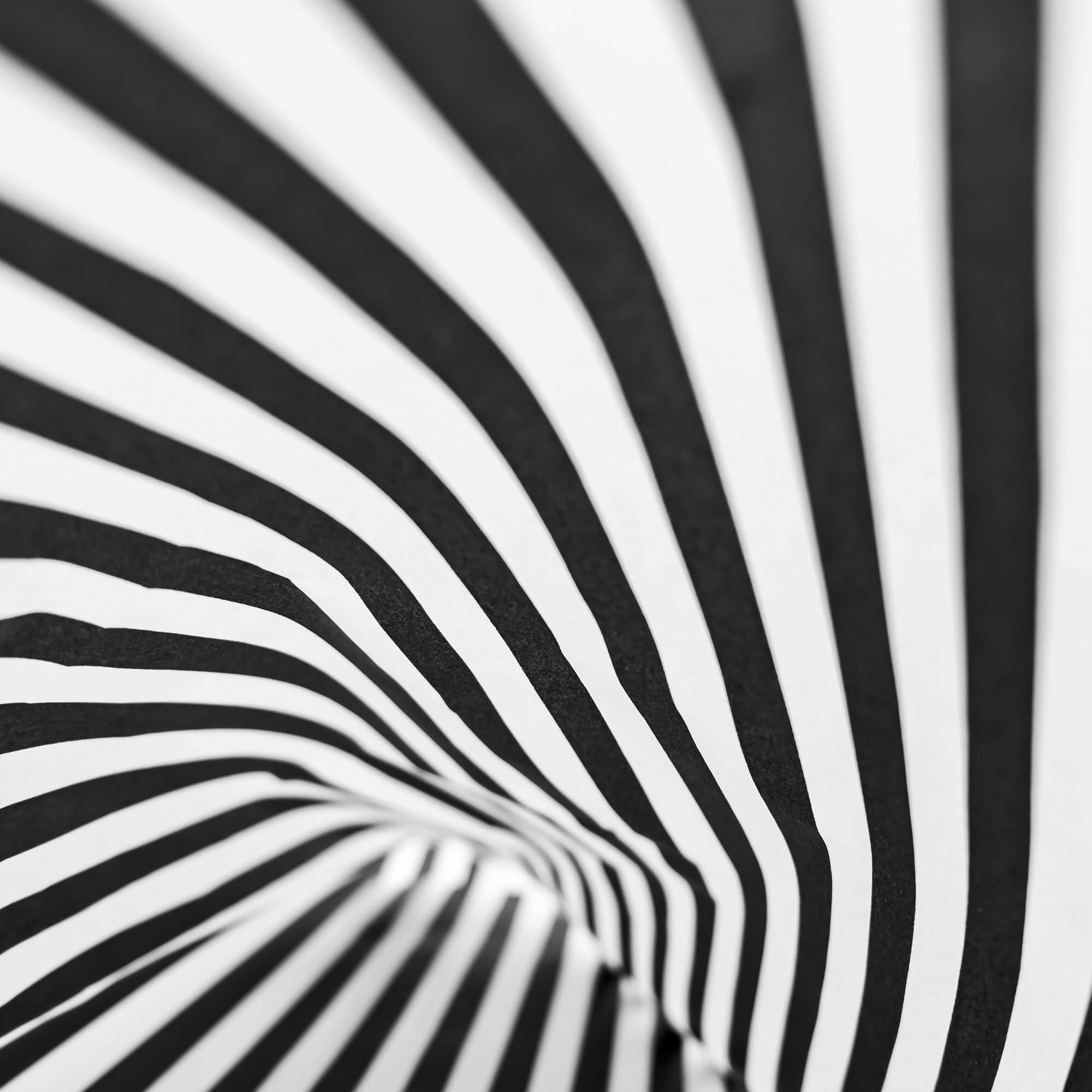 Hi Sasara 120 Sheets Black and White Tissue Paper Bulk - 14