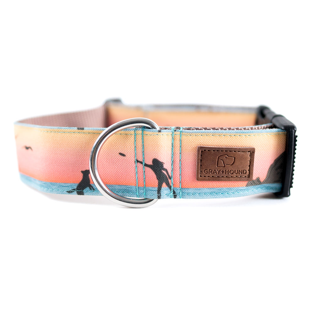 Premium Cannon Beach Dog Collar - Durable Nylon Pet Collar with Adjustable Buckle for Small Medium Large Dogs - Perfect for Beach Walks, Hiking & Outdoor Adventures