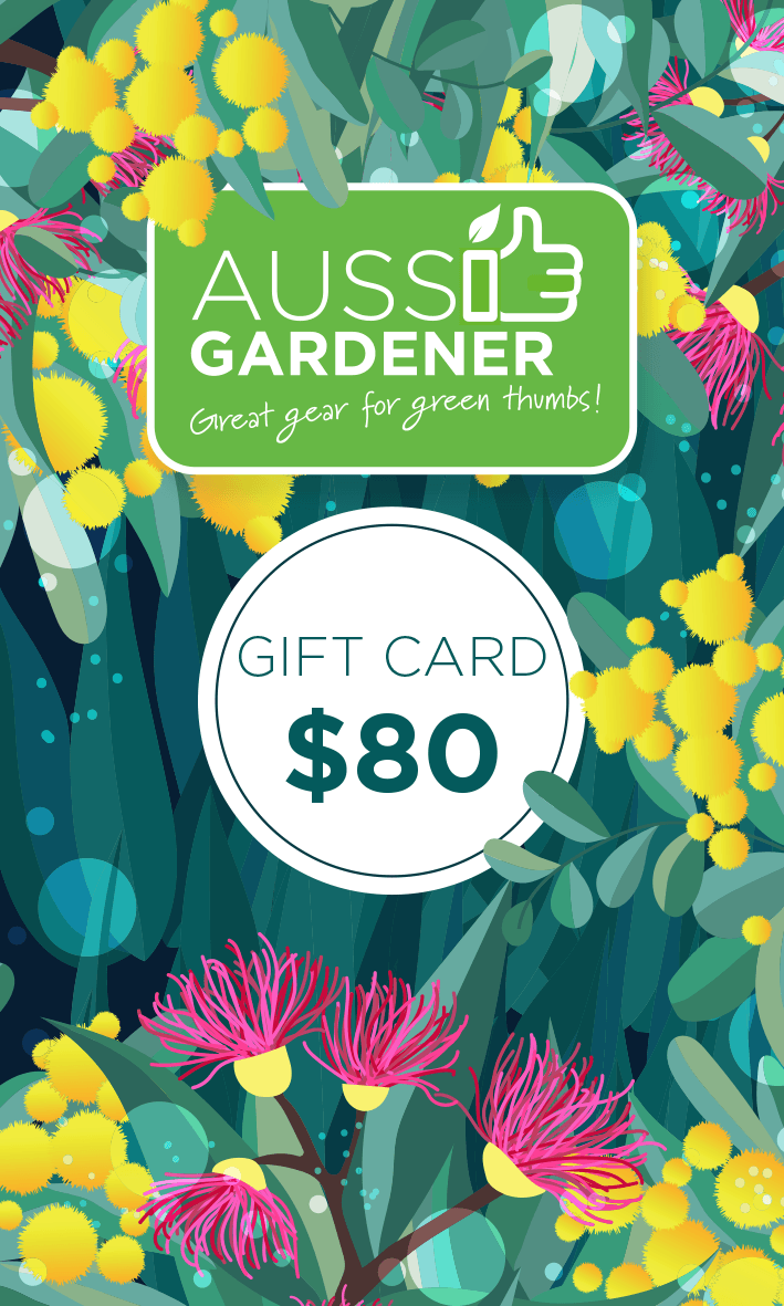 Best Gift Cards for Every Occasion - Birthday, Anniversary, Christmas & More | Perfect for Gifting Online & In-Store
