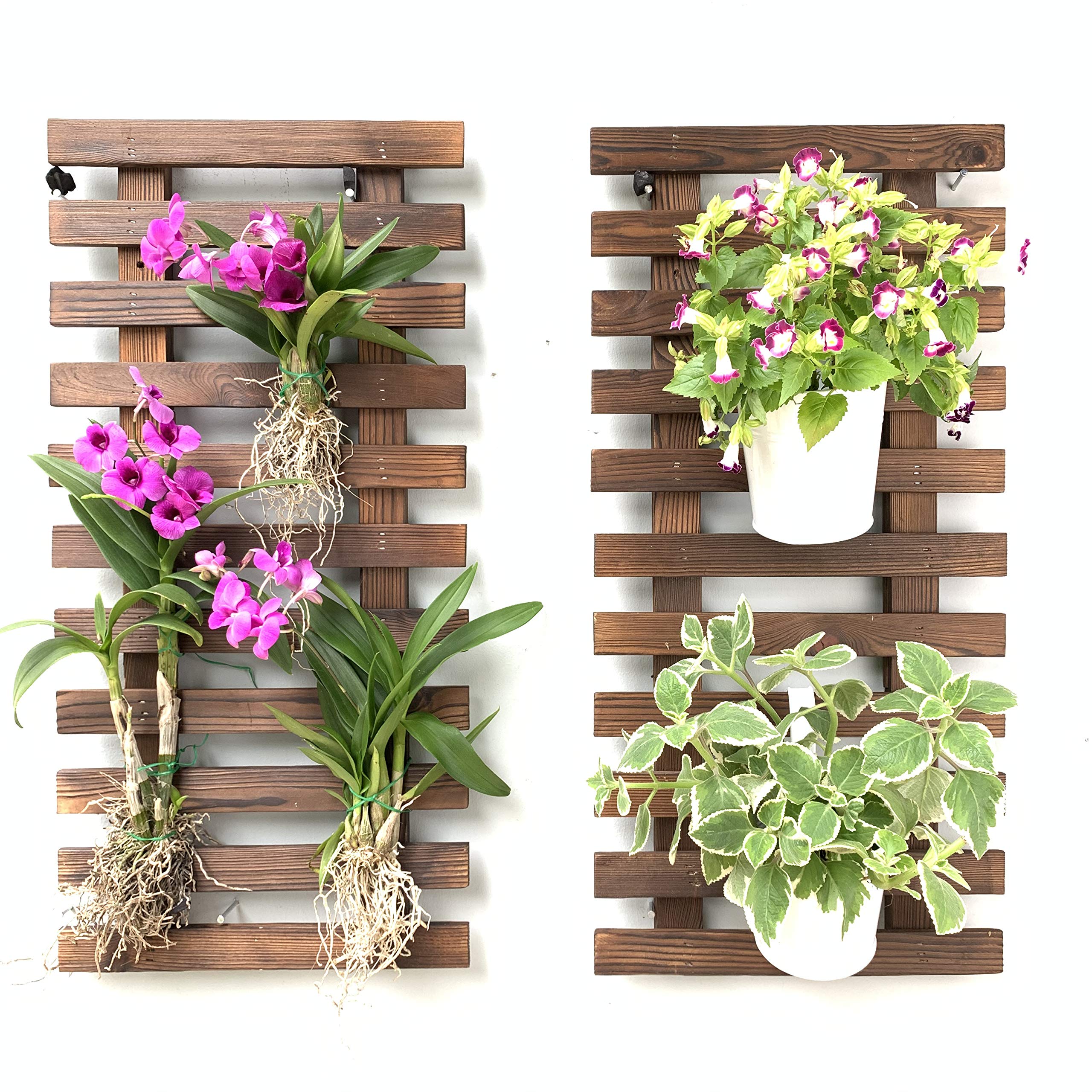 ShopLaLa Bundle - 4 Inch Self Watering Plant Pots with 2 Pack Wooden Planter Holders, Indoor Vertical Wall Garden Kit for Herbs & Succulents | Space Saving Hydroponic System for Kitchen, Balcony & Small Apartments