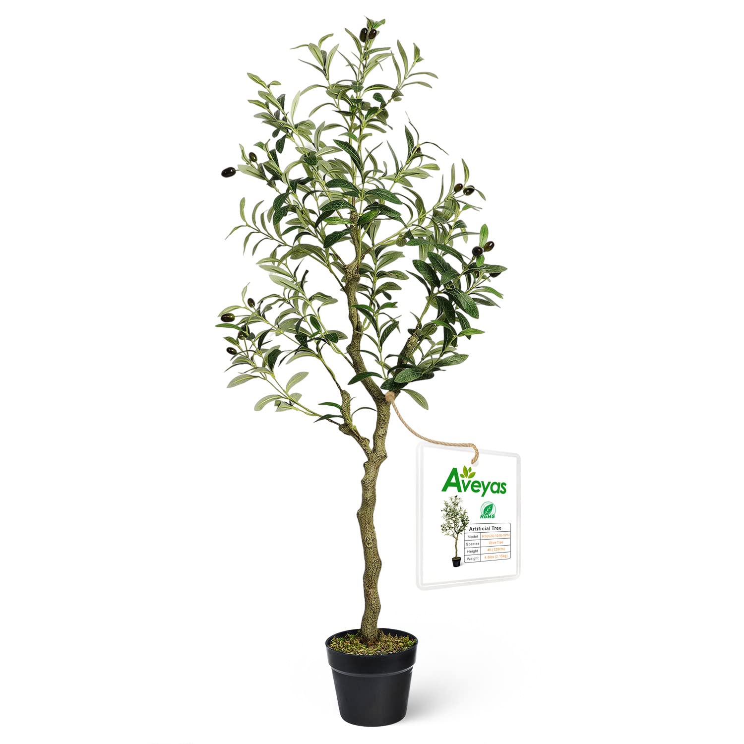 Aveyas 4ft Artificial Olive Tree in Cemented Plastic Pot - Realistic Fake Silk Plant with Lifelike Leaves for Indoor & Outdoor Decor - Perfect for Living Room, Office, Patio, and Modern Home Decor (48 inches)