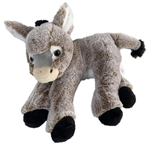 Donkey
