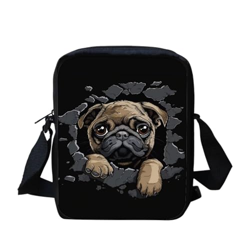 Pug Dog