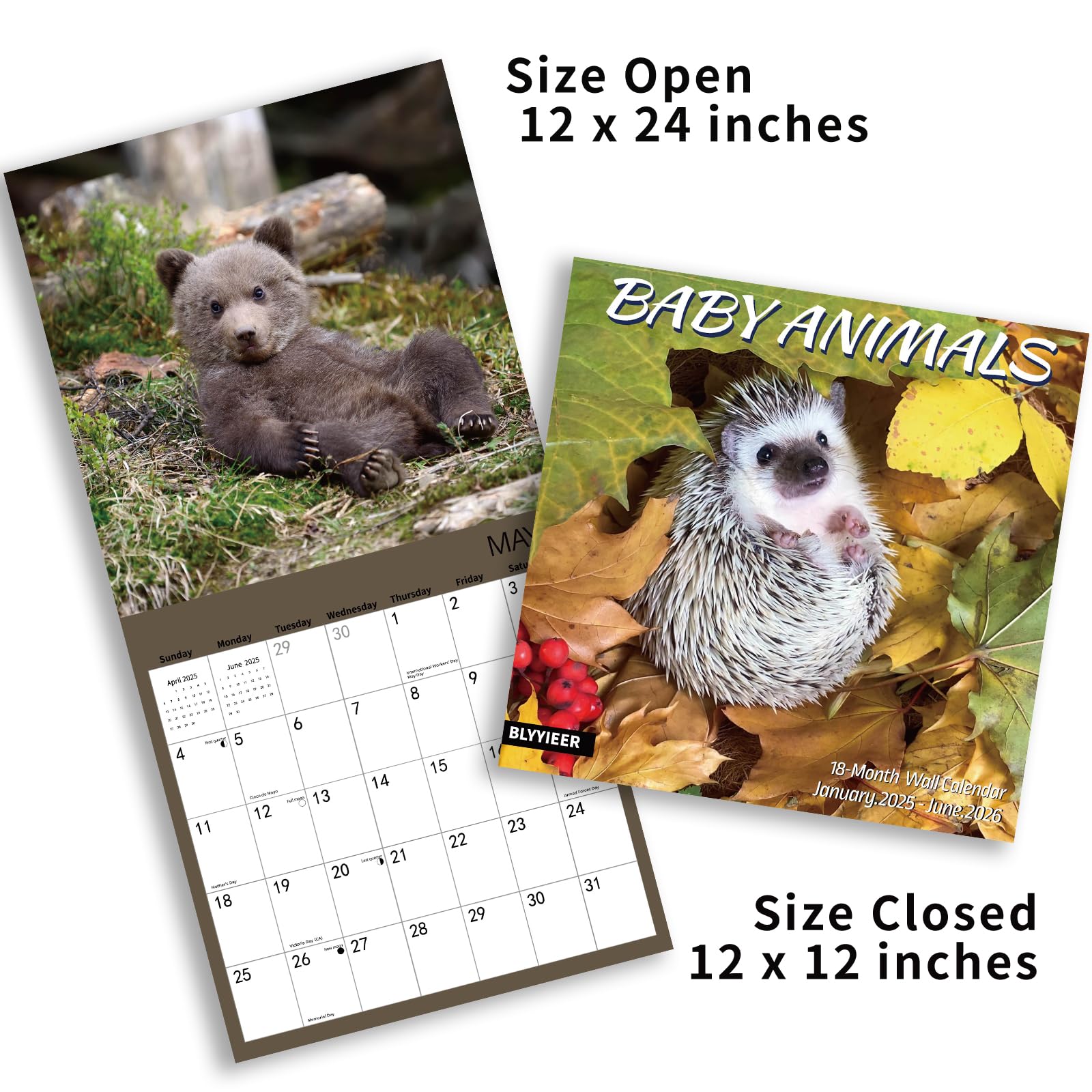 2025-2026 Baby Animals Wall Calendar - 18 Monthly Planner (12