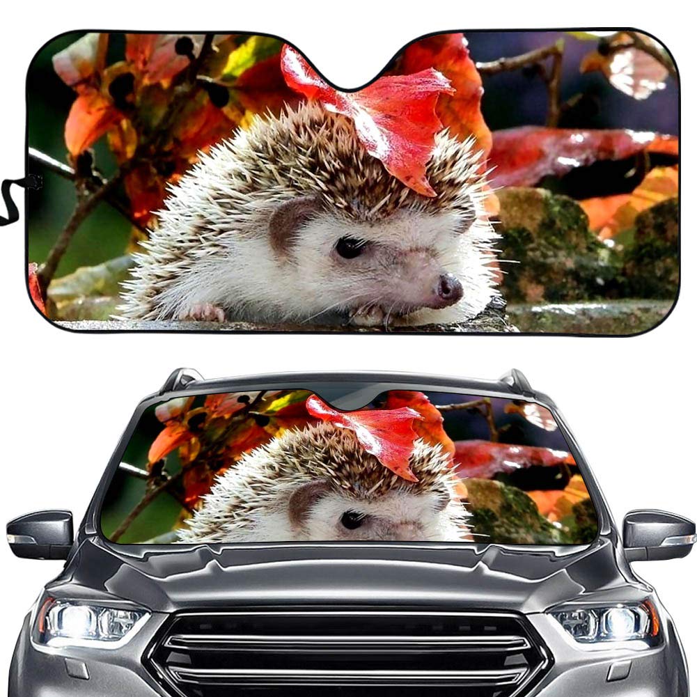 Universal Hedgehog Windshield Sun Shade for Cars - UV & Heat Reflective Sunshade to Keep Vehicle Cool | Funny Car Accessory for Summer Parking & Road Trips