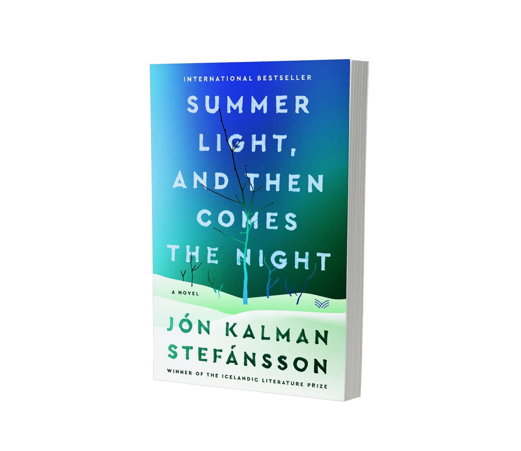 Summer Light, and Then Comes the Night: A Novel - Emotional Literary Fiction for Book Clubs & Beach Reading