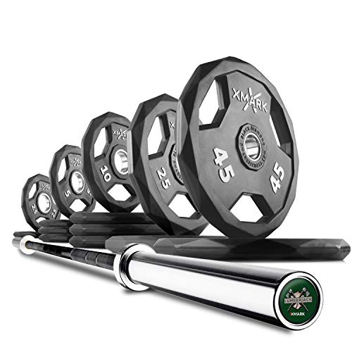 22) BAR and 205 lb Set