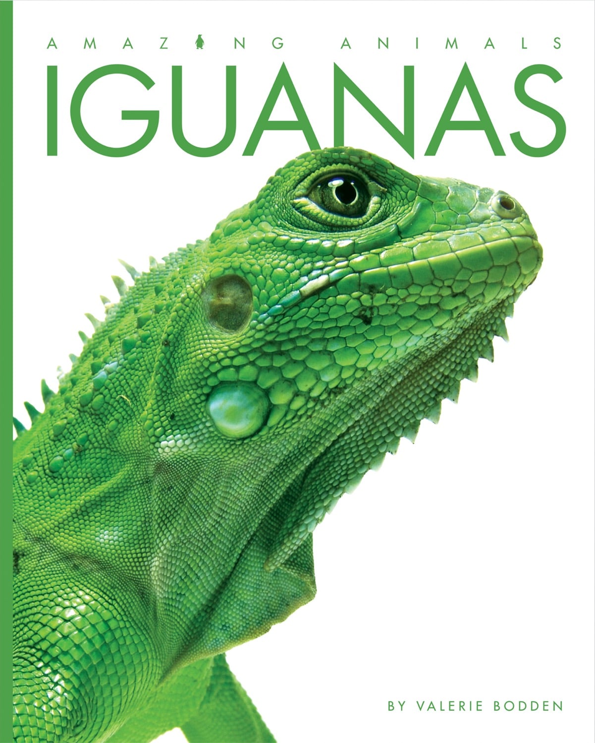 Amazing Animals (2014): Iguanas - Educational Wildlife Documentary for Kids & Nature Lovers - Perfect for Classroom Learning & Family Movie Nights