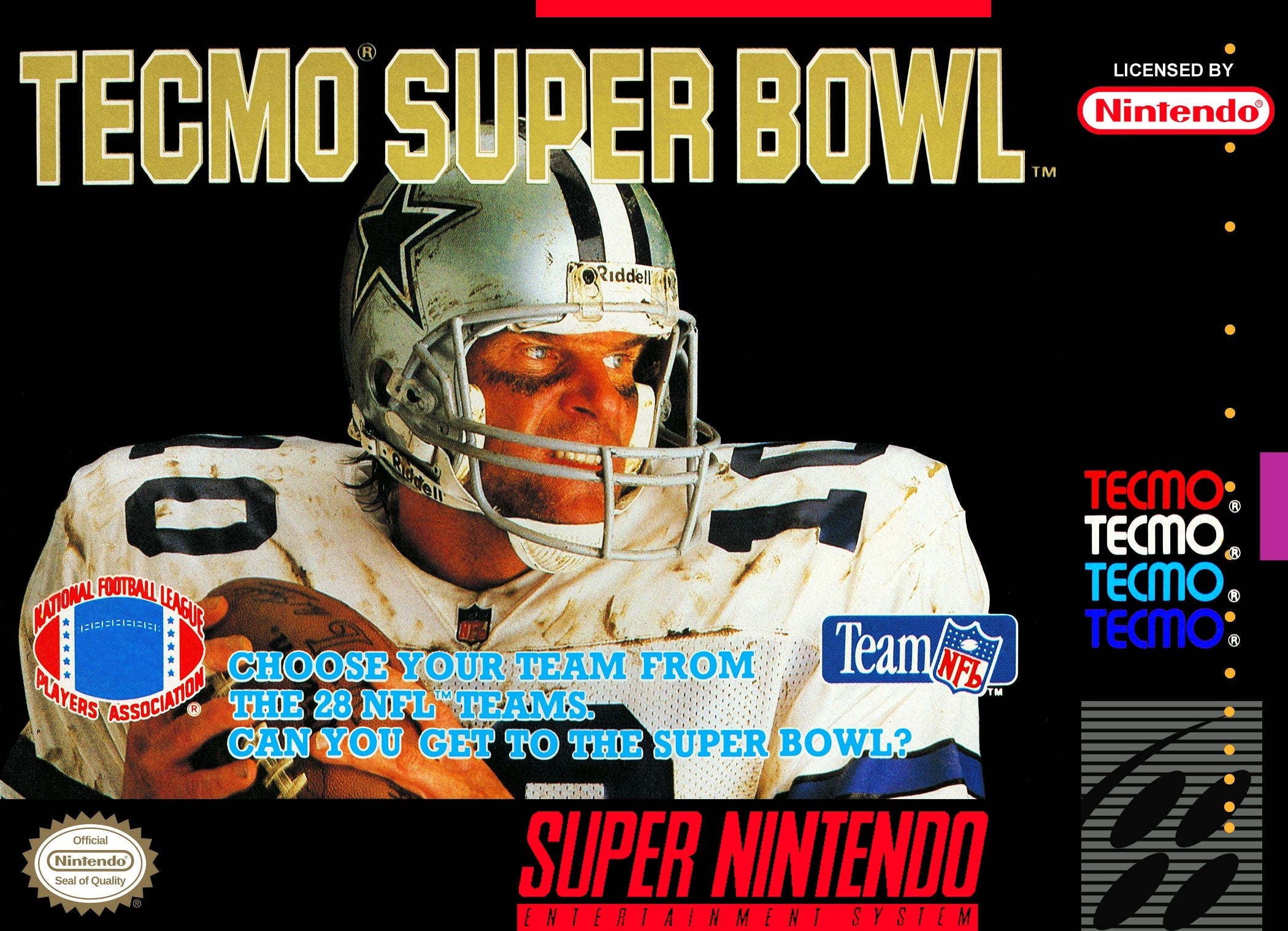 Tecmo Super Bowl - Classic NES Football Video Game | Retro Gaming for Sports Fans & Nostalgic Gamers - Perfect for Parties & Game Nights