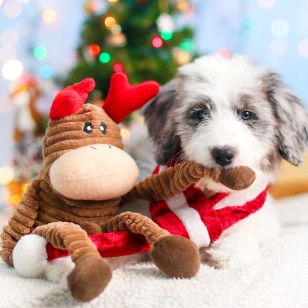 ZippyPaws Holiday Crinkle Reindeer Plush Dog Toy for Small Dogs - Interactive Squeaky & Crinkle Sound Puppy Chew Toy for Christmas Playtime & Training (10% OFF)