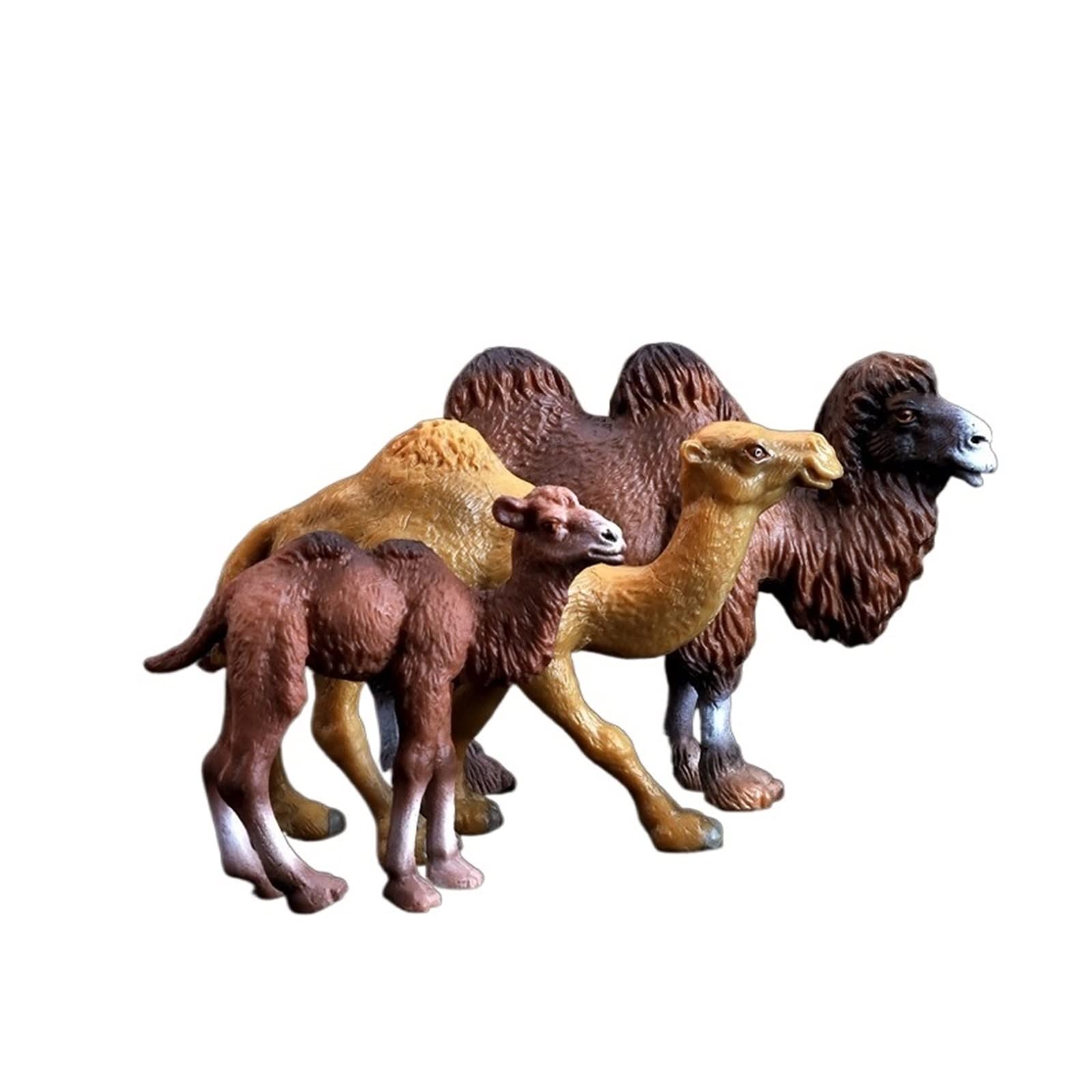 BELLAALONG Realistic PVC Animal Figures - Camel, Jungle Animals for Kids Toys & Home Decor - Perfect for Playtime, Room Decoration and Educational Learning