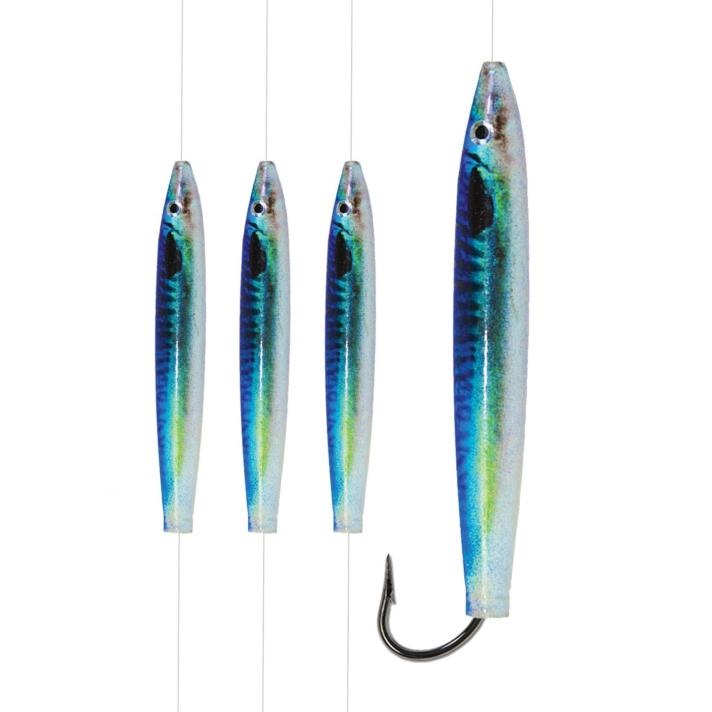 Blue Mackerel