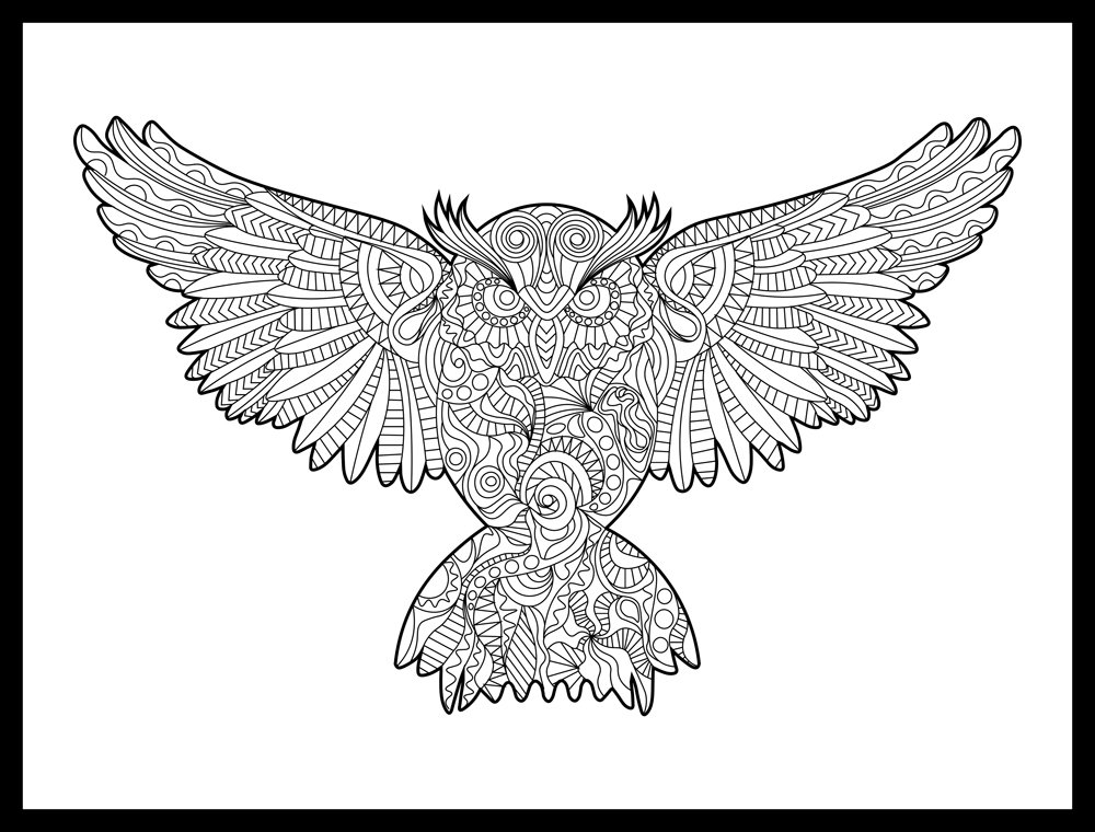 Zen Owl ColorMe! Wall Mural by Magic Murals - Premium Adult Coloring Wallpaper for Stress Relief & Home Decor - Perfect for Living Rooms, Bedrooms & Creative Spaces
