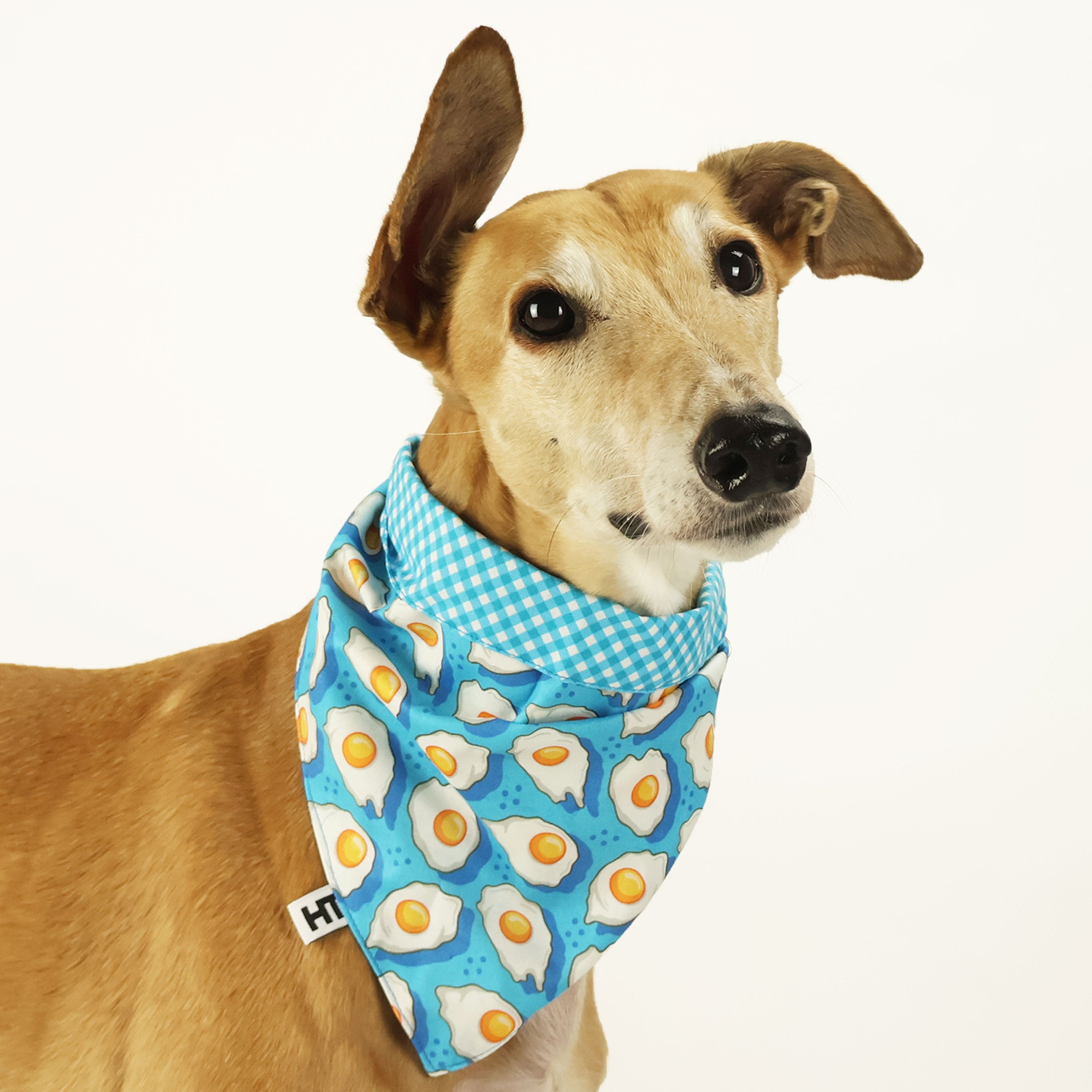 Brekky Bandana - Stylish & Comfortable Bandanas for Men & Women | Perfect for Outdoor Activities, Hiking, and Fashion Accessories